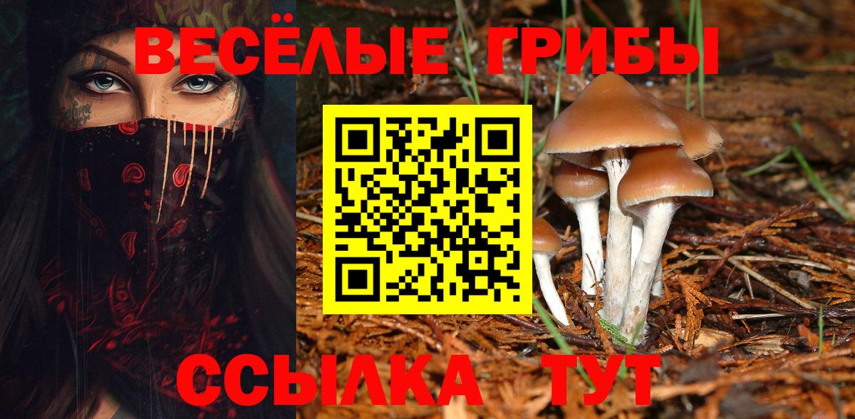Галлюциногенные грибы мицелий Ростов Великий