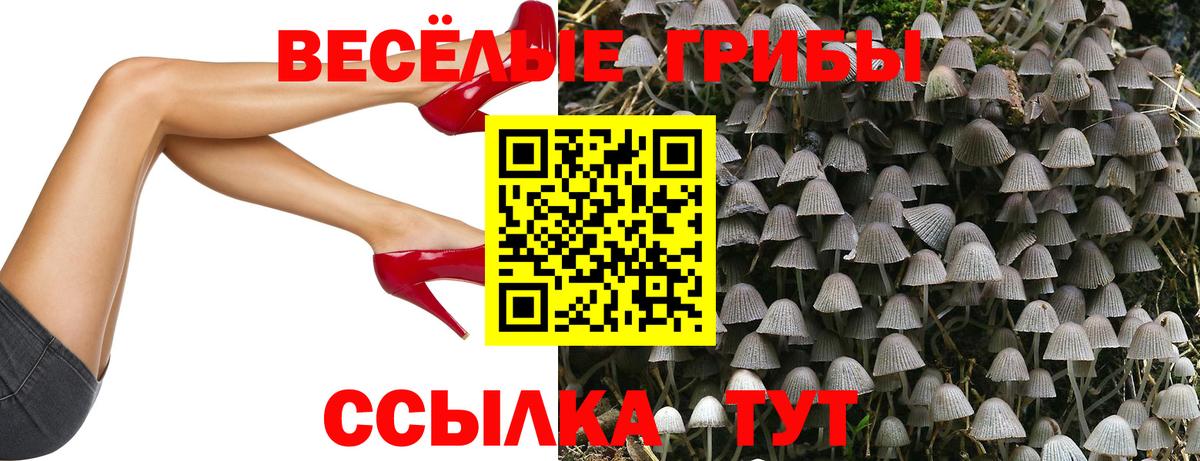 Галлюциногенные грибы мухоморы  Вход с VPN  Ростов Великий  закладки  Псилоцибиновые грибы Magic Shrooms 